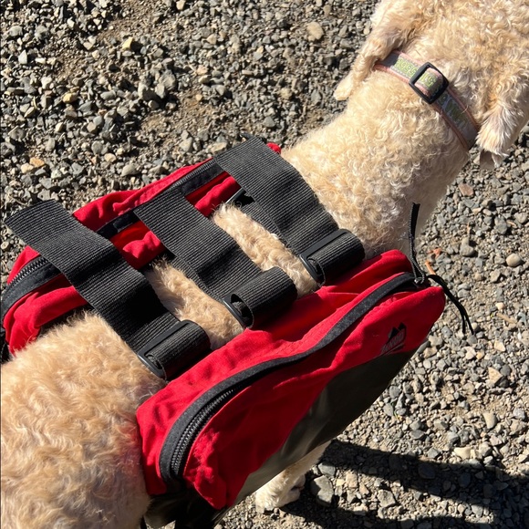 Dog Backpack - Picture 2 of 16